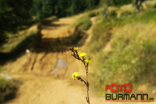 051 MTB Kirschlag14 - 051